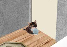 猫の脱出ゲーム 無料ゲームならwowgame ワウゲーム